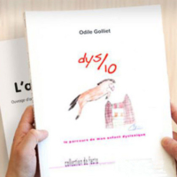 Livre sur la dyslexie : Dys/10, le parcours de mon enfant dyslexique