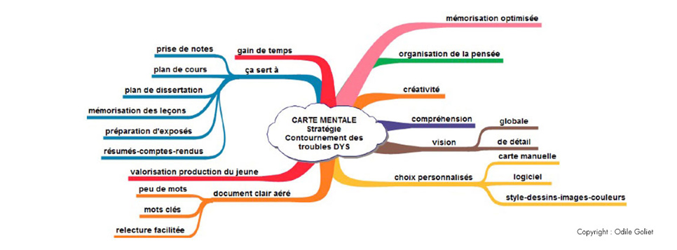 carte-mentale-dysfonctions-executives-dyslexie